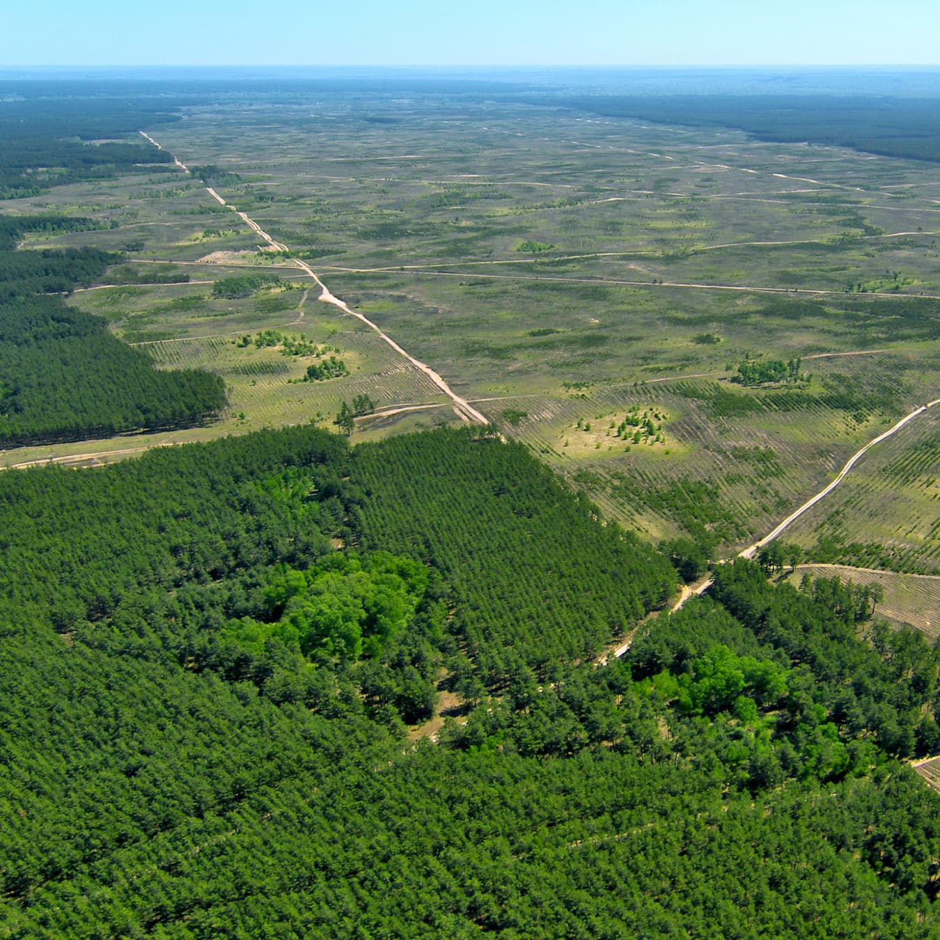 Fast and accurate identification of necessary actions