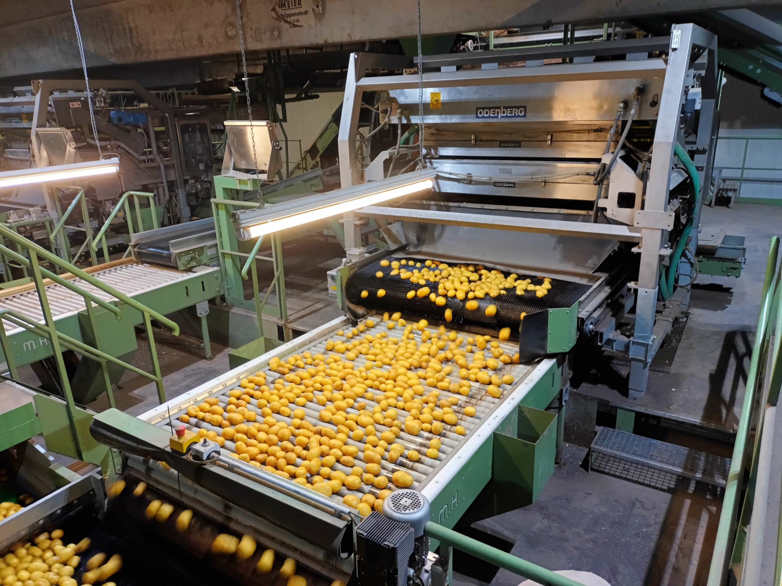 Digitalisierung in Packbetrieb